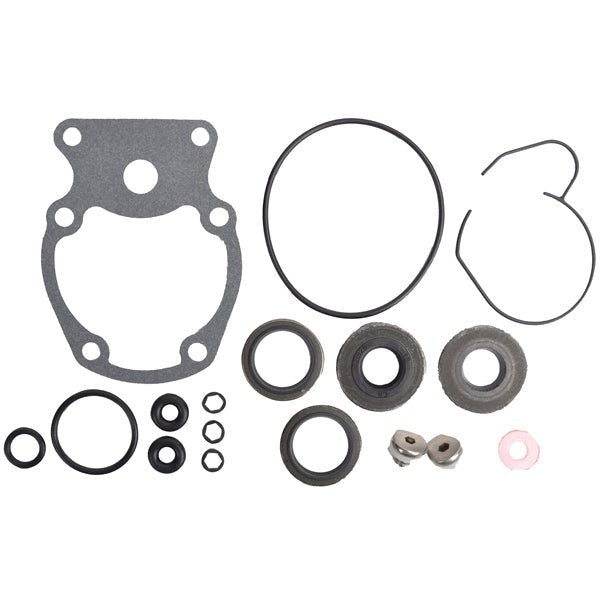 BRP EVINRUDE GEARCASE SEAL KIT (5007987) - DRIVEN Canada's Powersports 7454193523495007987