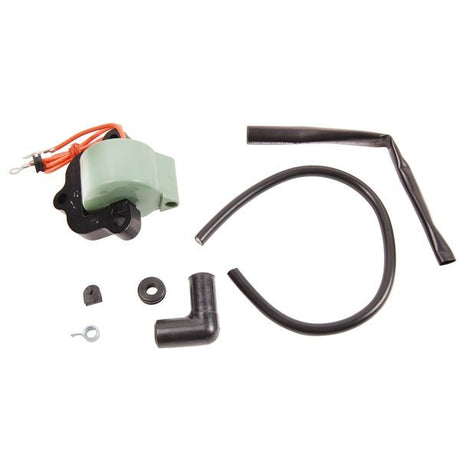 BRP EVINRUDE IGNITION COIL (502890) - DRIVEN Canada's Powersports 745419037611502890