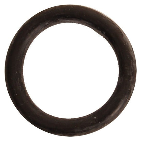 BRP EVINRUDE IMPELLER HOUSING SEAL (319085) - DRIVEN Canada's Powersports 745419247805319085