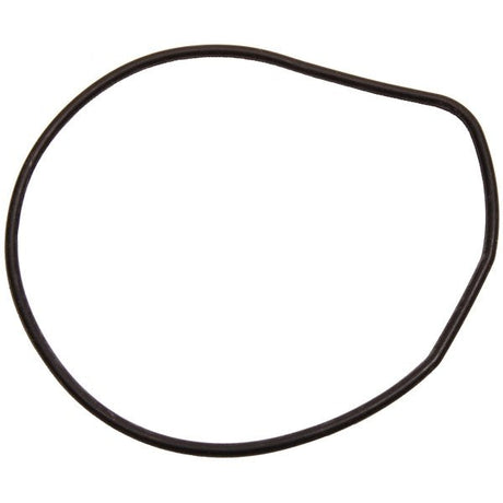 BRP EVINRUDE IMPELLER HOUSING SEAL (324981) - DRIVEN Canada's Powersports 745419240486324981