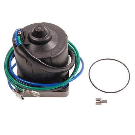 BRP EVINRUDE MOTOR AND O - RING (5005376) - DRIVEN Canada's Powersports 7454193011015005376