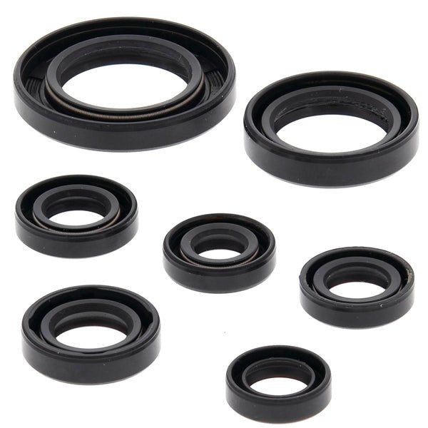 BRP EVINRUDE NEEDLE BEARING (434694) - DRIVEN Canada's Powersports 745419133276434694