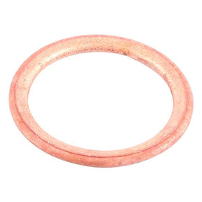 BRP EVINRUDE NUT (328169) - DRIVEN Canada's Powersports 745419042264328169