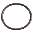 BRP EVINRUDE O - RING (331188) - DRIVEN Canada's Powersports 745419061432331188