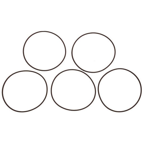 BRP EVINRUDE O - RING CYLINDER (335523) - DRIVEN Canada's Powersports 0335523L335523