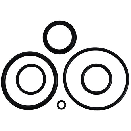 BRP EVINRUDE O - RING KIT (174003) - DRIVEN Canada's Powersports 745419063535174003