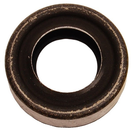 BRP EVINRUDE OIL SEAL (313284) - DRIVEN Canada's Powersports 745419040666313284