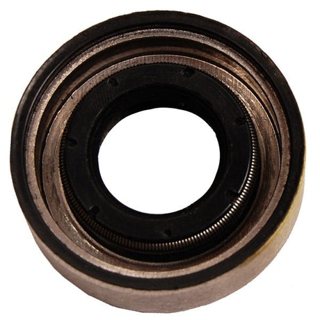BRP EVINRUDE OIL SEAL (314167) - DRIVEN Canada's Powersports 779421925710314167