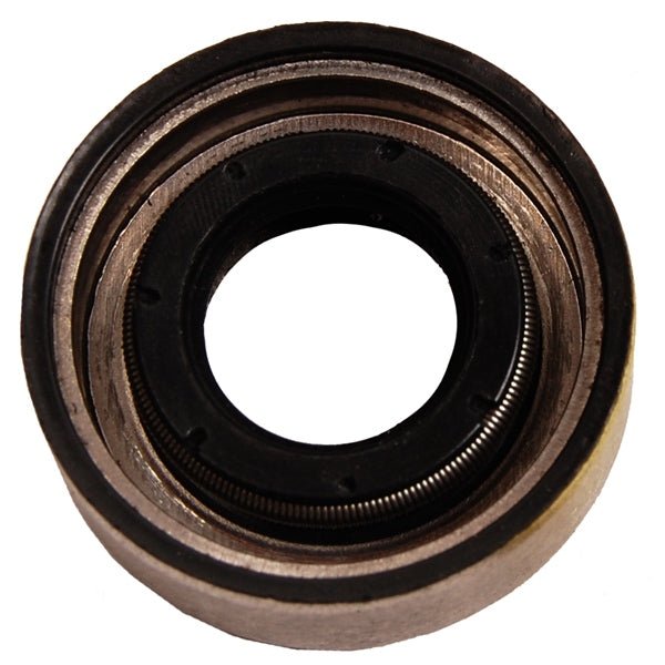 BRP EVINRUDE OIL SEAL (314167) - DRIVEN Canada's Powersports 779421925710314167