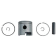 BRP EVINRUDE PISTON KIT (5006655) - DRIVEN Canada's Powersports 7454193312905006655