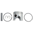 BRP EVINRUDE PISTON KIT (5006695) - DRIVEN Canada's Powersports 7454193313445006695