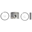 BRP EVINRUDE PISTON KIT (5007541) - DRIVEN Canada's Powersports 7454193465845007541