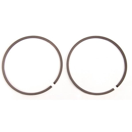 BRP EVINRUDE PISTON RING SET (436254) - DRIVEN Canada's Powersports 745419026059436254