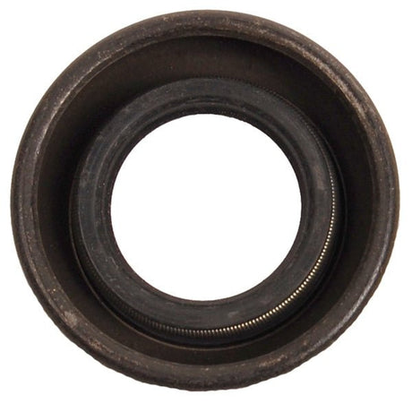 BRP EVINRUDE SEAL (303345) - DRIVEN Canada's Powersports 99999989303345