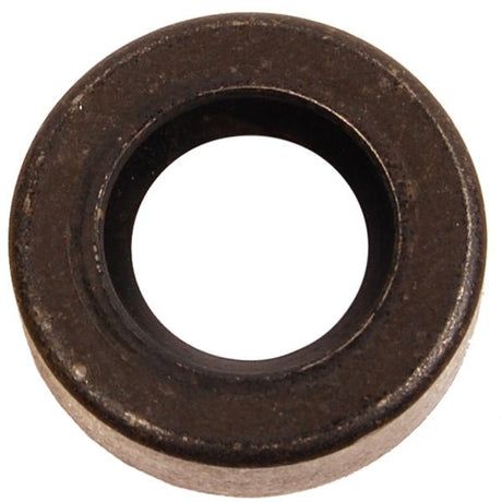 BRP EVINRUDE SEAL (318972) - DRIVEN Canada's Powersports 745419240394318972