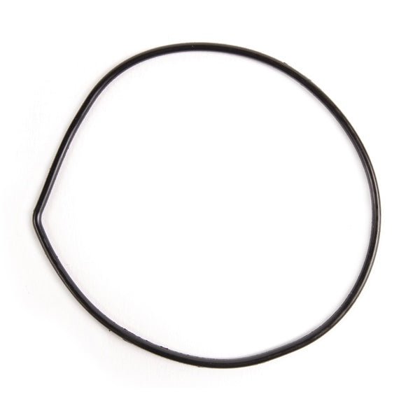 BRP EVINRUDE SEAL (331353) - DRIVEN Canada's Powersports 745419061753331353