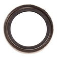 BRP EVINRUDE SEAL (334950) - DRIVEN Canada's Powersports 745419079529334950