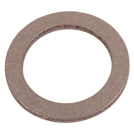 BRP EVINRUDE THRUST WASHER (333725) - DRIVEN Canada's Powersports 745419207809333725