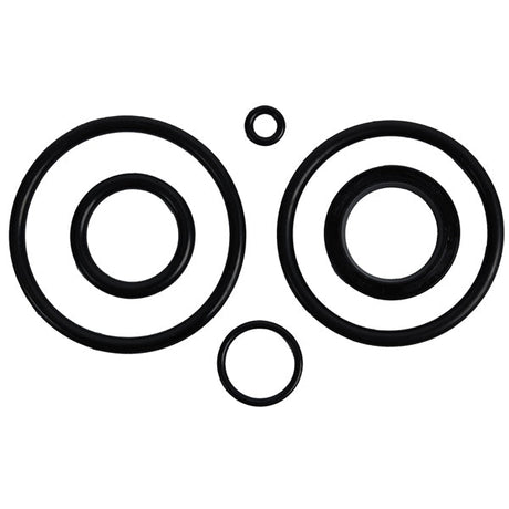 BRP EVINRUDE TILT CYLINDER O - RING KIT - DRIVEN Canada's Powersports 745419117382390007