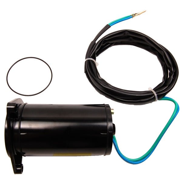 BRP EVINRUDE TILT MOTOR (394176) - DRIVEN Canada's Powersports 745419011383394176