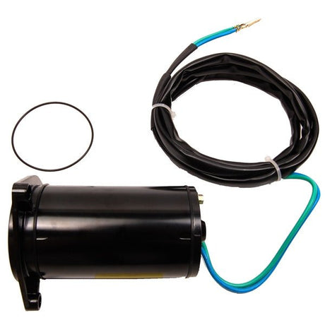 BRP EVINRUDE TILT MOTOR (394176) - DRIVEN Canada's Powersports 745419011383394176