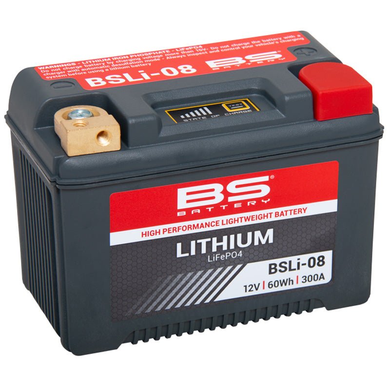BS BATTERY BSLI - 08 12V LITHIUM BATTERY (360108) - DRIVEN Canada's Powersports 3564094601088360108