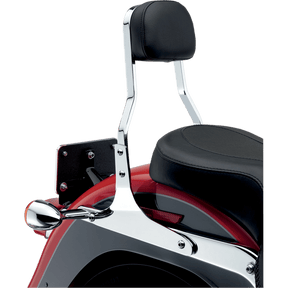 COBRA 04 - 17 SHORT SISSY BAR W/PAD - DRIVEN Canada's Powersports 602 - 1203