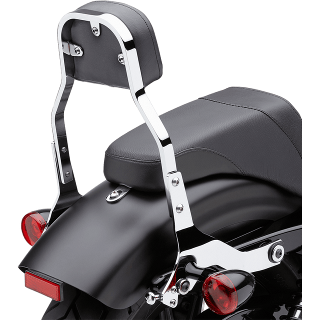 COBRA BACKREST DET MINI SFT (602 - 2022) - DRIVEN Canada's Powersports 602 - 2022