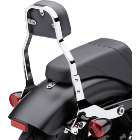 COBRA BACKREST DET MINI SFT - DRIVEN Canada's Powersports 602 - 2021