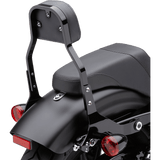 COBRA BACKREST DET MINI SFT - DRIVEN Canada's Powersports 602 - 2021B