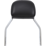 COBRA BACKREST DET MINI - DRIVEN Canada's Powersports 602 - 2026