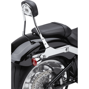 COBRA BACKREST DET RND - DRIVEN Canada's Powersports 602 - 2007