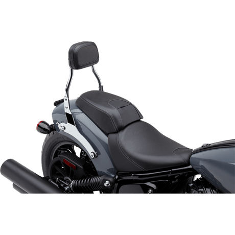 COBRA BACKREST MINI CHIEF - DRIVEN Canada's Powersports 502 - 2012