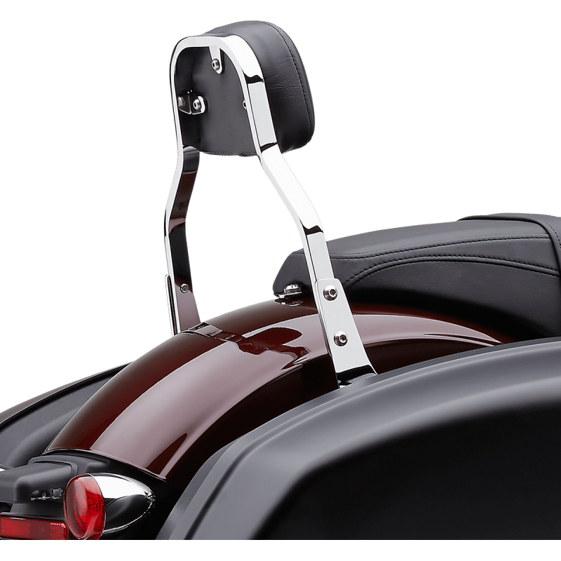 COBRA DTCH BKRST MINI FLSB 2018 (602 - 2031) - DRIVEN Canada's Powersports 602 - 2031