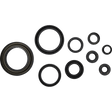 COMETIC SEAL CRANKCASE OIL KIT TRX450R,TRX450ER (C3139OS) - DRIVEN Canada's Powersports C3139OS
