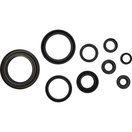COMETIC SEAL CRANKCASE OIL KIT TRX450R,TRX450ER (C3139OS) - DRIVEN Canada's Powersports C3139OS