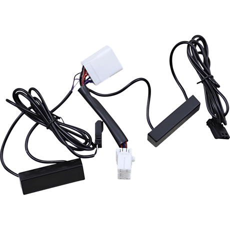 CUSTOM DYNAMICS ADAPTOR MICRO DUAL AMBRED (MPR - MCROAR - HD) - DRIVEN Canada's Powersports MPR - MCROAR - HD