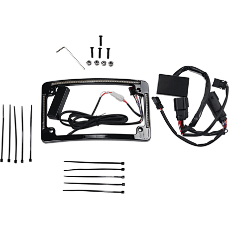 CUSTOM DYNAMICS FRAME LP FLHX - DRIVEN Canada's Powersports TF05 - BCM - B