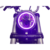 CUSTOM DYNAMICS HEADLIGHT PG 5.75"HALO C (PG - 575 - C) - DRIVEN Canada's Powersports PG - 575 - C