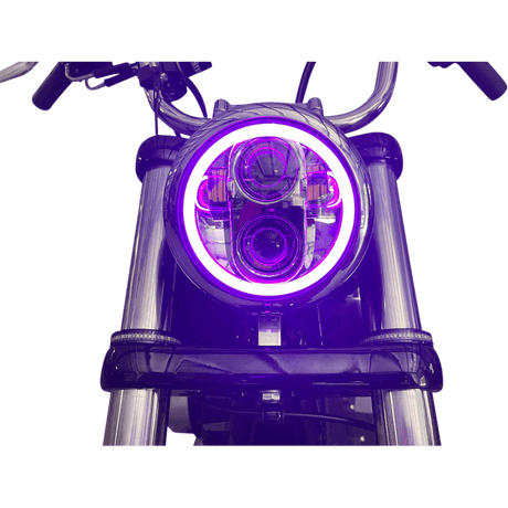 CUSTOM DYNAMICS HEADLIGHT PG 5.75"HALO - DRIVEN Canada's Powersports PG - 575 - B