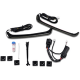 CUSTOM DYNAMICS LIGHT BAGZ SMOKED (CD - LP - BCM - S) - DRIVEN Canada's Powersports CD - LP - BCM - S
