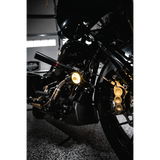 CUSTOM DYNAMICS LIGHT FOG BLACK/PR - DRIVEN Canada's Powersports PB - FOG - BCM - YB