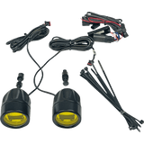 CUSTOM DYNAMICS LIGHT FOG BLACK/PR - DRIVEN Canada's Powersports PB - FOG - BCM - YB