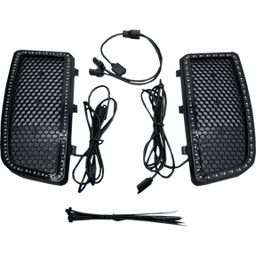 CUSTOM DYNAMICS LIGHT LED INSRTS LWRFAIRG (PG - LF) - DRIVEN Canada's Powersports PG - LF