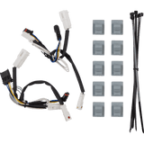 CUSTOM DYNAMICS LIGHT LWRFARNG INSRT AMB PR (CD - LF - AA - B) - DRIVEN Canada's Powersports CD - LF - AA - B