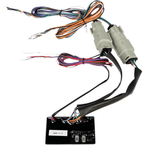 CUSTOM DYNAMICS MODULE SEQUENTIAL TSIGNAL (CD - LED - SEQ) - DRIVEN Canada's Powersports CD - LED - SEQ