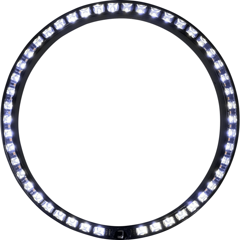 CUSTOM DYNAMICS TRIM RING STD TSGNAL - DRIVEN Canada's Powersports PB - 7TR - AW - 1B