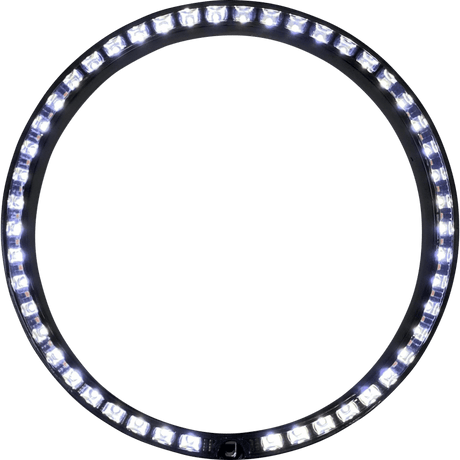 CUSTOM DYNAMICS TRIM RING STD TSGNAL - DRIVEN Canada's Powersports PB - 7TR - AW - 1B