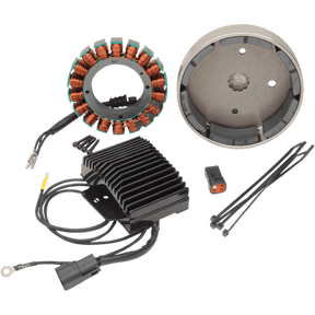 CYCLE ELECTRIC INC 01 - 06 S/TAIL 38A 3PHASE CHARGING KIT (CE - 63T) - DRIVEN Canada's Powersports CE - 63T