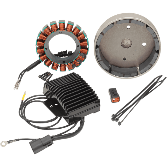 CYCLE ELECTRIC INC 01 - 06 S/TAIL 38A 3PHASE CHARGING KIT (CE - 63T) - DRIVEN Canada's Powersports CE - 63T